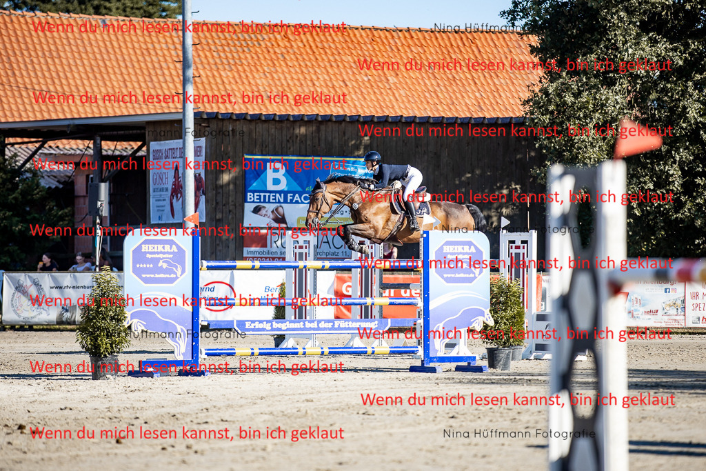 BK1A8203 | Turnierbilder Turnierfotos Nina Hüffmann Turnierfotografie Pferdefotografie Tierzeichnung Haustierzeichnung Pferdezeichnung Hundezeichnung Videograf  - Realisiert mit Pictrs.com