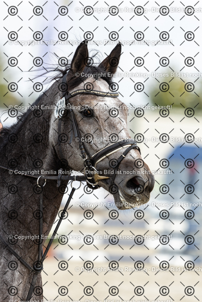 CL5A9284 | Emilia Reinking Fotografie - Realisiert mit Pictrs.com