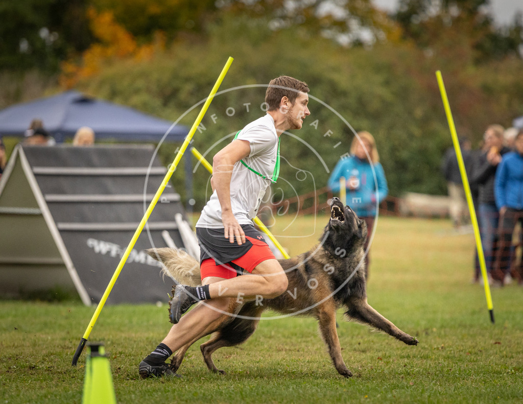 Pfotenfotografie_DV3A7370 | Hundefotografie, Tierfotograf, Pfotenfotografie, Fotoshooting Hund, Hunde Portrait, Hundesport, Hundeportraits, Heideshooting, Hunde, Sportfotograf, Hundefotograf, Turnierhundsport, THS,  - Realisiert mit Pictrs.com