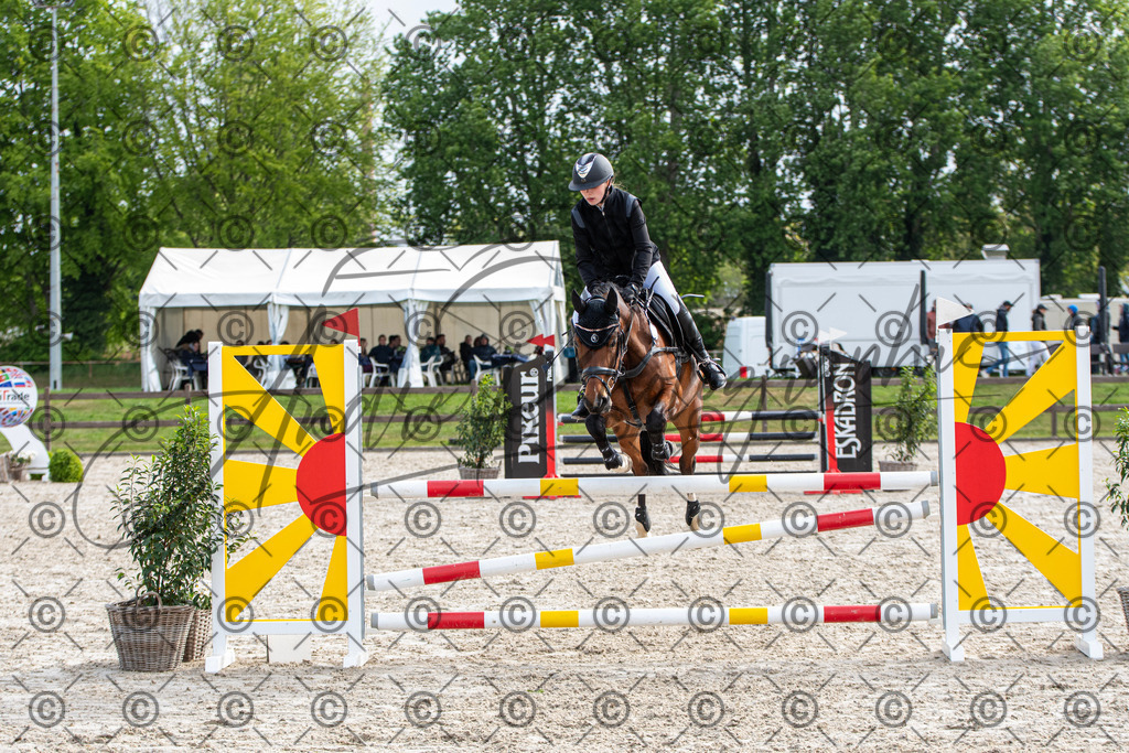 KPT_8039 | andre_photographic