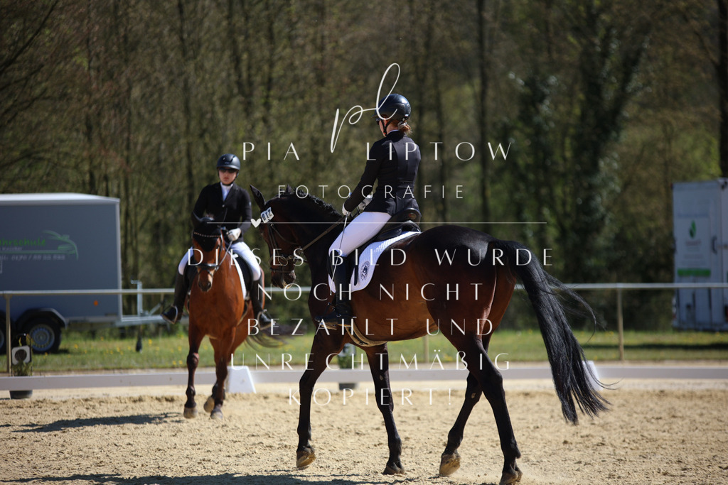 IMGT1912 | pl-fotografie