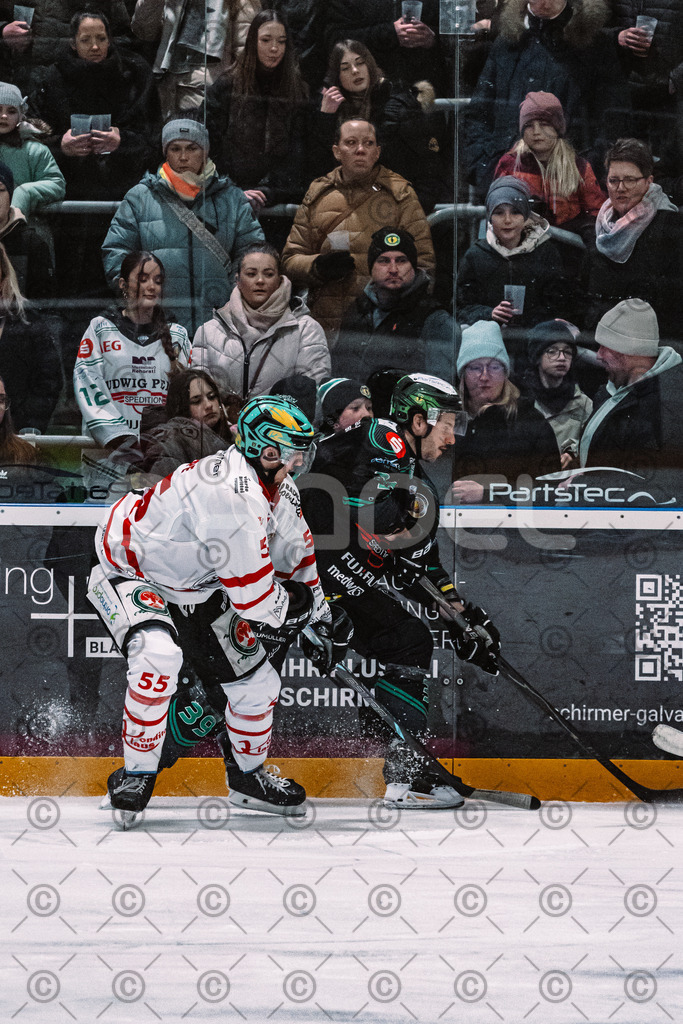 Alligators_vs_Toelz_15_02_2026-10 | Höchstadt Alligators Fotogalerie: Eishockey-Action aus Franken. Professionelle Spielfotos, Portraits & Stadionbilder zum Download. Jetzt entdecken! - Realisiert mit Pictrs.com
