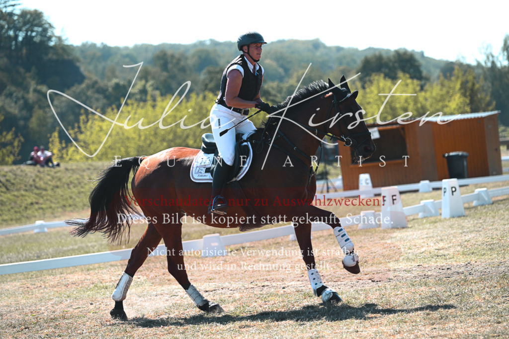 DSC_8250 | Pferde- und Turnierfotografie in Westsachsen. Pferdeportraits, Auftragszeichnungen und intuitive Kunst.