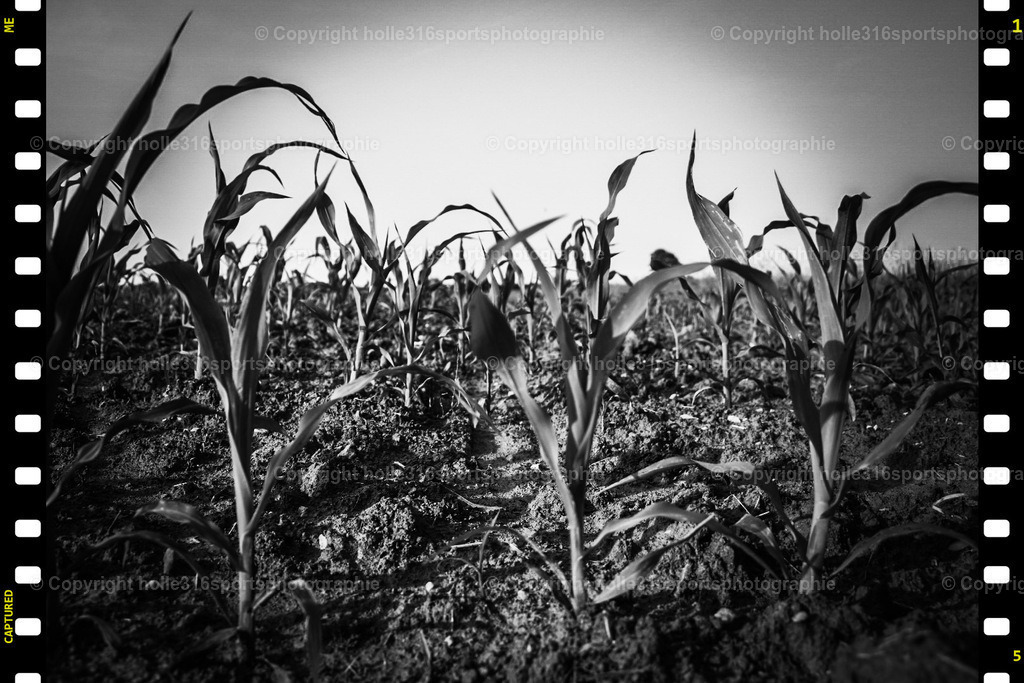 PSX_20250609_194649 | Sportfotografie , Motorsport, Motoross, Reitsport, Mointainbike, Enduro,
Landschaft , Outdoor, Eventfotografie, Landschaft, Bilder online bestellen - Realisiert mit Pictrs.com