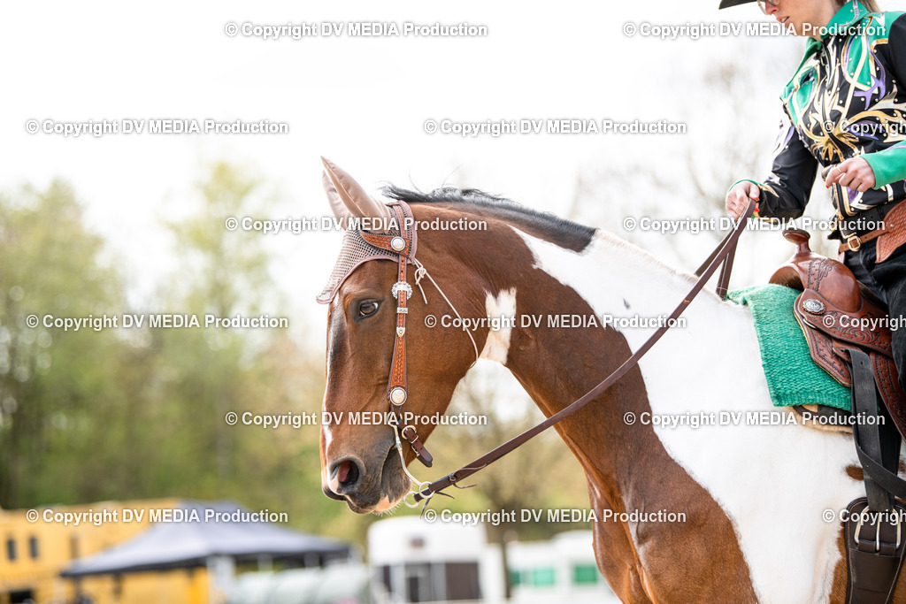 Heiligenwald Tag 1-331 | dv-media-shop - Realisiert mit Pictrs.com