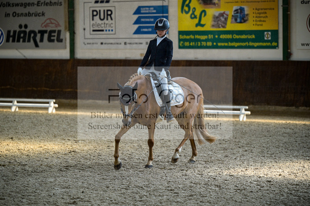 Reitturnier Voxtrup | Entdecke hochwertige Reitturnierfotos von Foto Oger. Professionell, emotional und authentisch – jetzt Lieblingsmomente im Shop bestellen.Deutschlandweite Turnierfotografie. - Realisiert mit Pictrs.com
