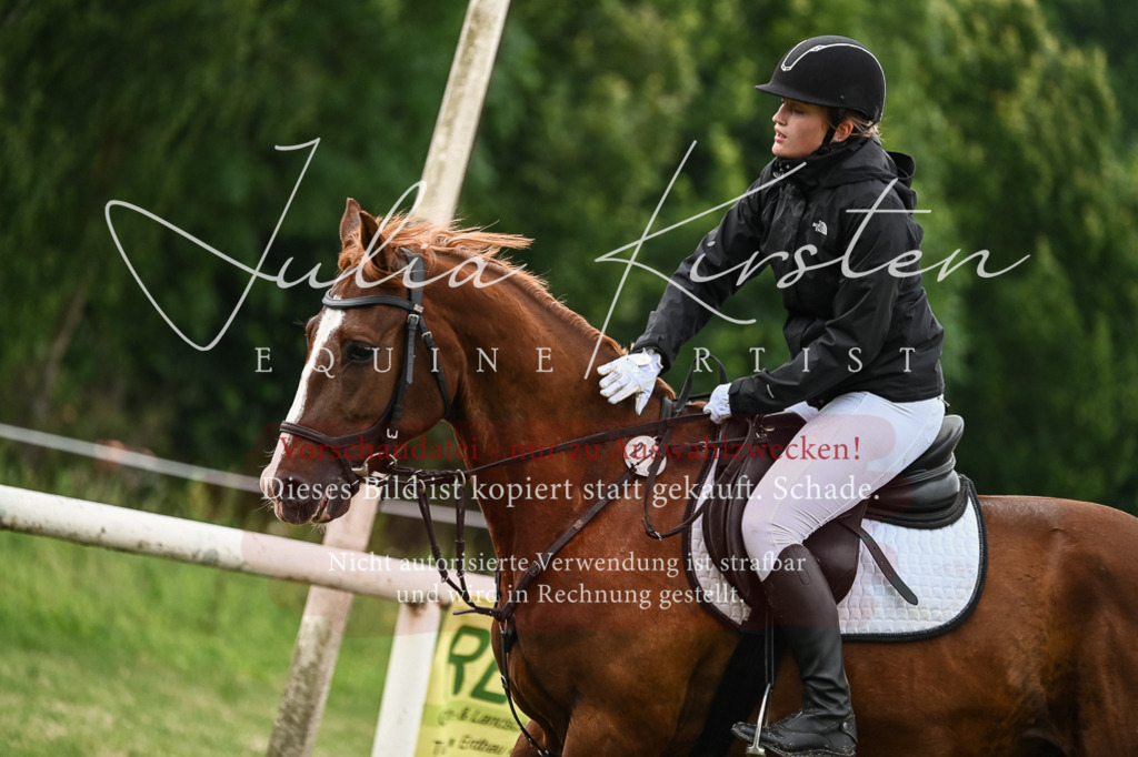 DSC_8386 | Pferde- und Turnierfotografie in Westsachsen. Pferdeportraits, Auftragszeichnungen und intuitive Kunst.