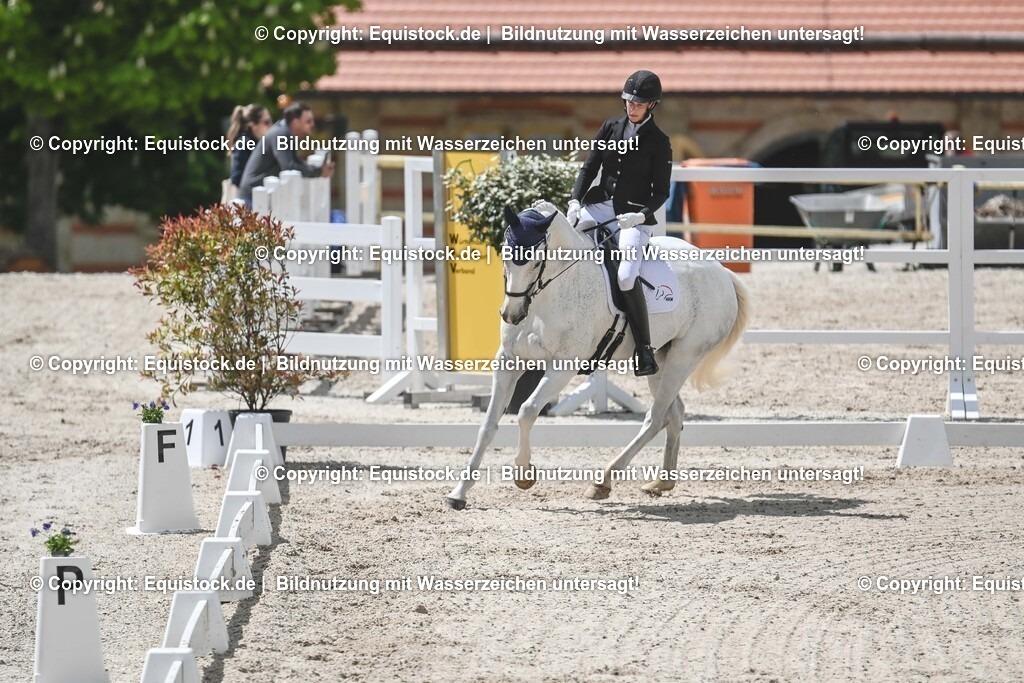 20250516_CCI2_Dressur_0138 | Foto: Thomas Hartig