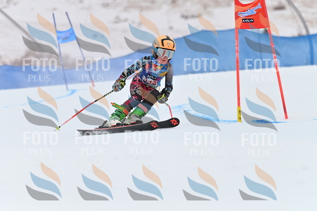 BGV_9806 | holidayphoto