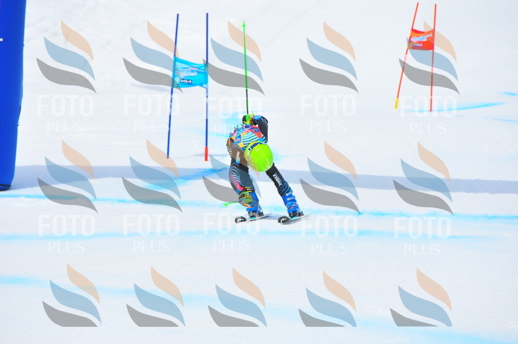 DSC_2567 | holidayphoto