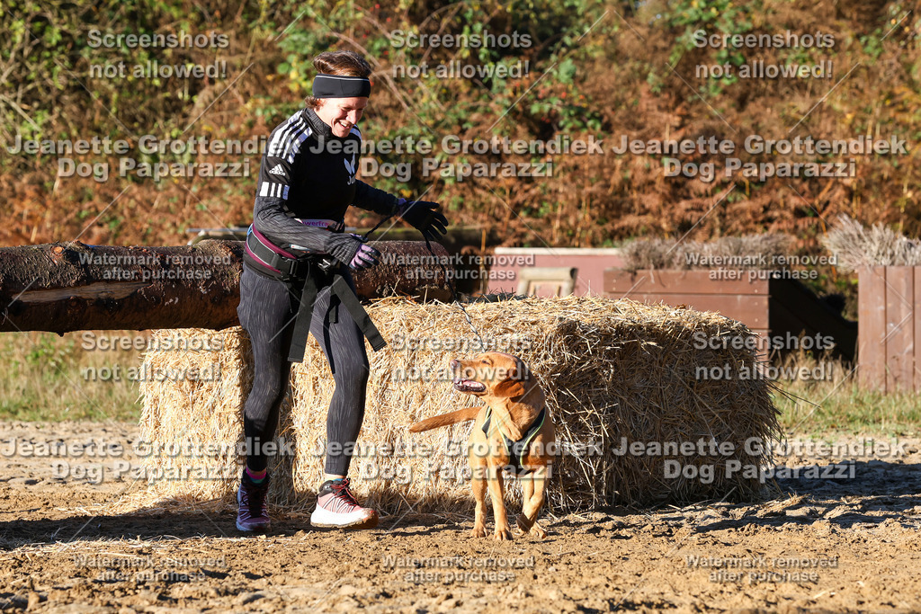 Dog Paparazzi - Strongdog 10-25-1240 | Dog Paparazzi Jeanette Grottendiek Fotografie & Videografie - Realisiert mit Pictrs.com