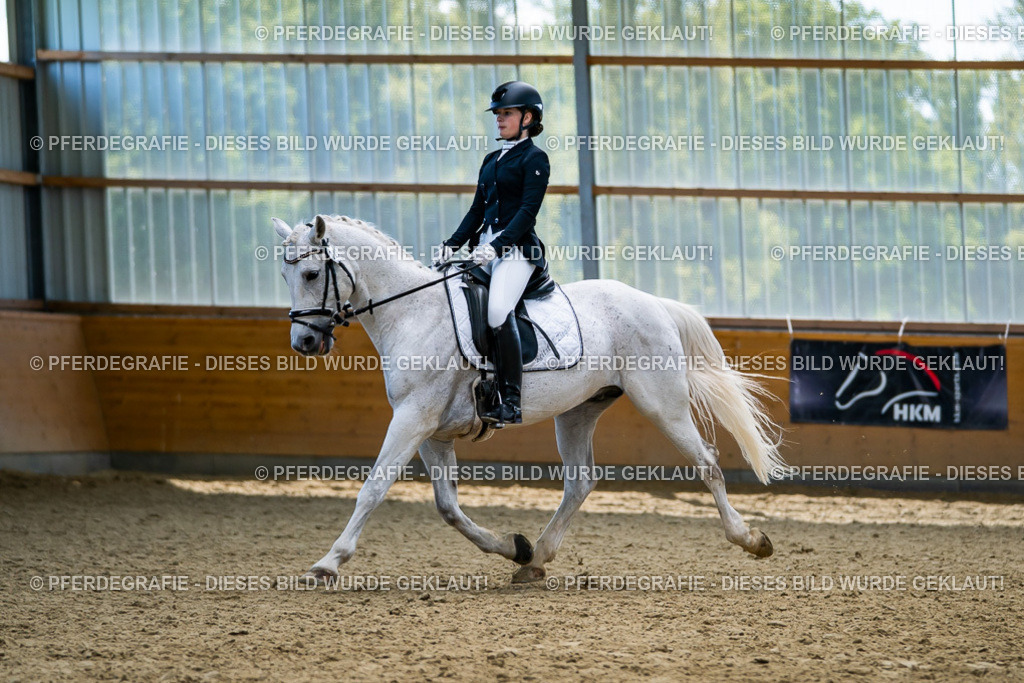 DSC05516 | Pferdegrafie