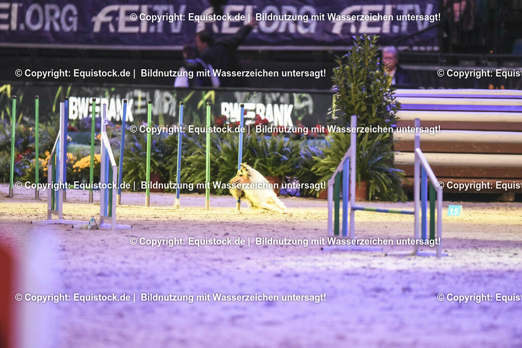 20231115_Dog-Agility_0224_TOMsPiC | Foto: Thomas Hartig