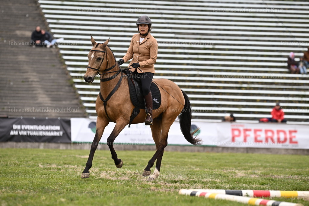PI26_DR_Show_Sara_Landvogt_226_0711.JPG | working equitationturnier fotograf videograf stoibphotography marixx film working equitation deutschland reitsport turnierfotografie eventfotografie equestrian events