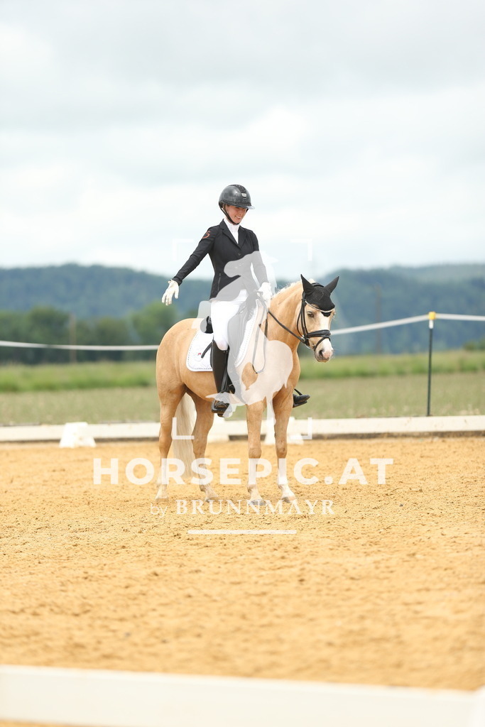 AS8V1287 | Willkommen bei Brunnmayr - Design & Fotografie – Ihrem Spezialisten für Reitturniere und Pferdeveranstaltungen in Oberösterreich, Salzburg und Bayern! Seit über 17 Jahren sind wir leidenschaftlich dabei.