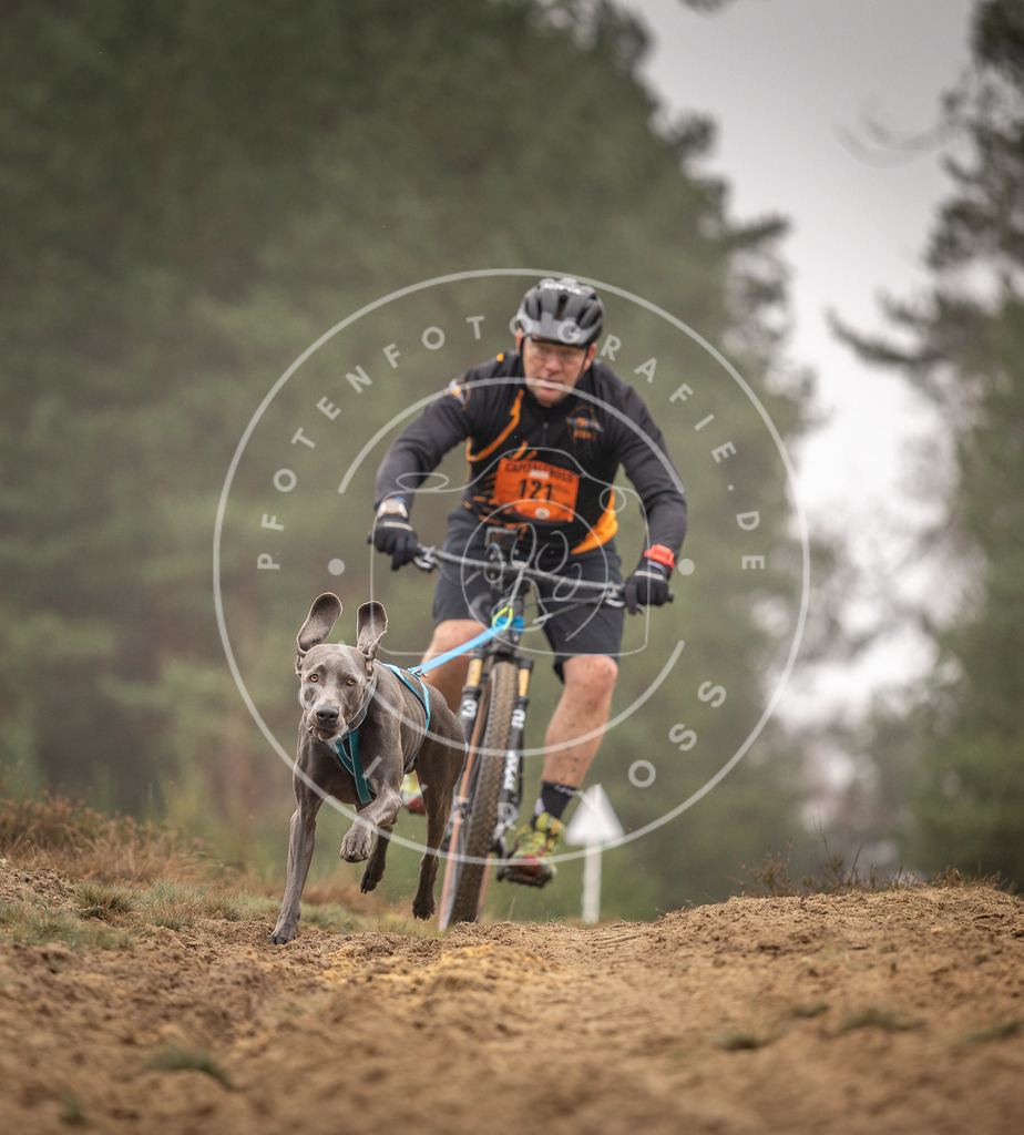 Pfotenfotografie_DV3A3510 | Hundefotografie, Tierfotograf, Pfotenfotografie, Fotoshooting Hund, Hunde Portrait, Hundesport, Hundeportraits, Heideshooting, Hunde, Sportfotograf, Hundefotograf, Turnierhundsport, THS,  - Realisiert mit Pictrs.com