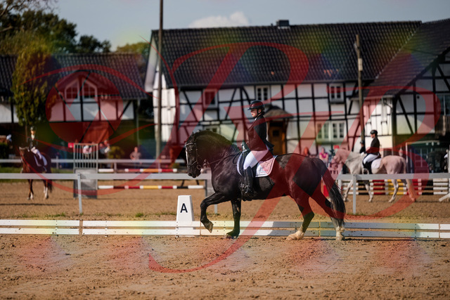 2026_10_03_Siefer-Hof_120757_Z63_36995955 | Professionelle Reitsport-, Turnier- und Eventfotografie von Robert Broda. Galerien mit ausgewählten und bearbeiteten Bildern direkt online ansehen und bestellen.