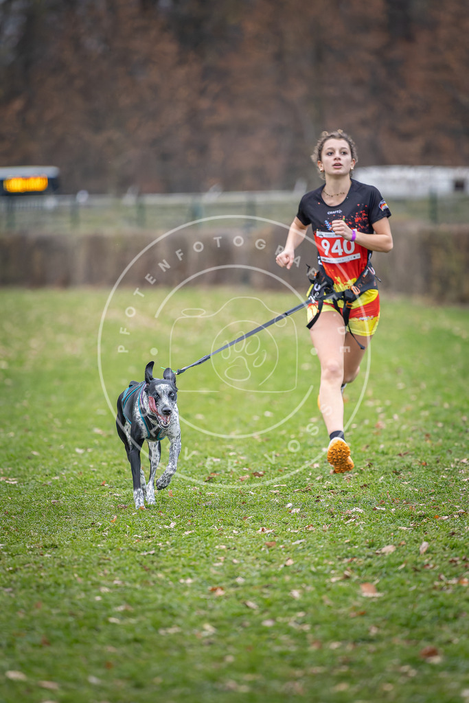 CaniXpix_DV3A7229 | Hundefotografie, Tierfotograf, Pfotenfotografie, Fotoshooting Hund, Hunde Portrait, Hundesport, Hundeportraits, Heideshooting, Hunde, Sportfotograf, Hundefotograf, Turnierhundsport, THS,  - Realisiert mit Pictrs.com
