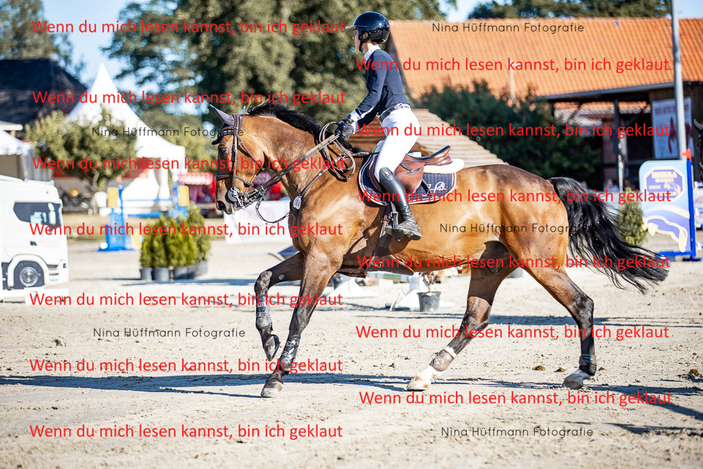 BK1A8199 | Turnierbilder Turnierfotos Nina Hüffmann Turnierfotografie Pferdefotografie Tierzeichnung Haustierzeichnung Pferdezeichnung Hundezeichnung Videograf  - Realisiert mit Pictrs.com