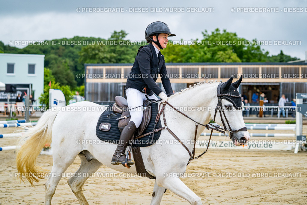 DSC01800 | Pferdegrafie