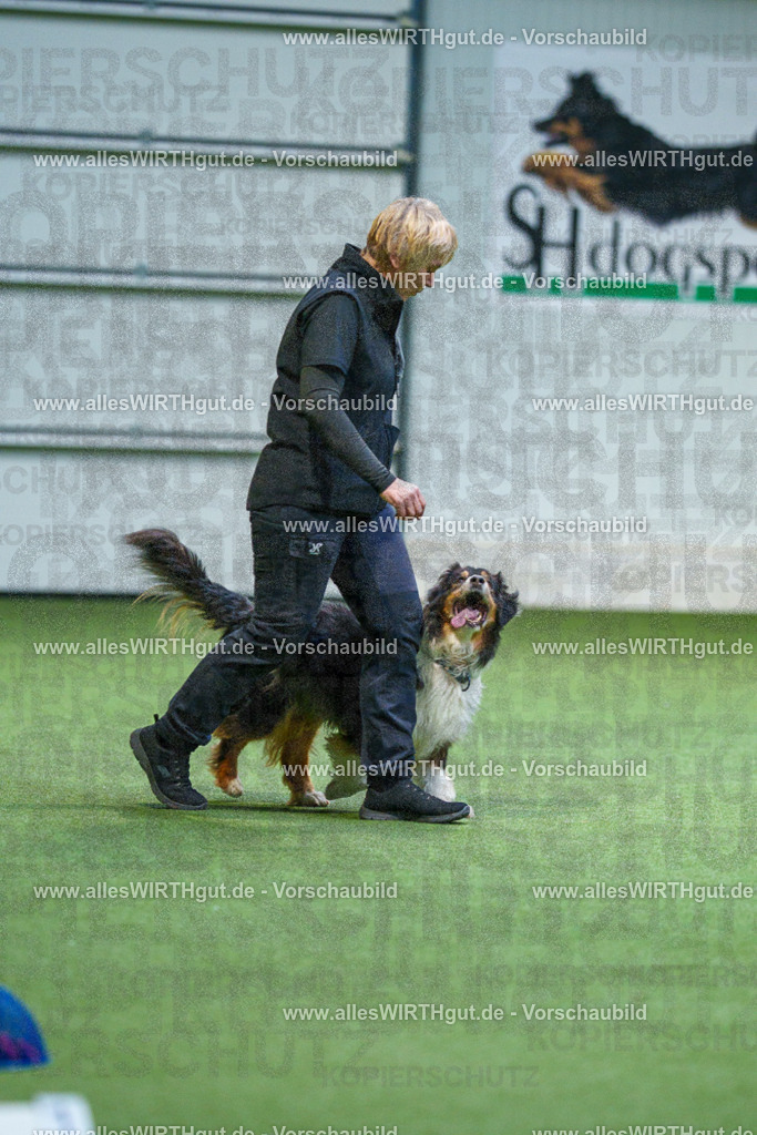 7R506098 | Professionelle Tierfotografie in Mönchengladbach von Daniel Wirth (allesWIRTHgut). Liebevolle & natürliche Bilder von Hunden & Katzen für unvergessliche Erinnerungen.