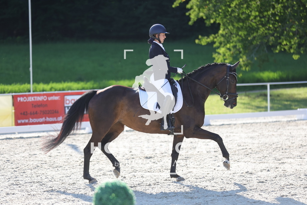 0P6A3131 | Willkommen bei Brunnmayr - Design & Fotografie – Ihrem Spezialisten für Reitturniere und Pferdeveranstaltungen in Oberösterreich, Salzburg und Bayern! Seit über 17 Jahren sind wir leidenschaftlich dabei.