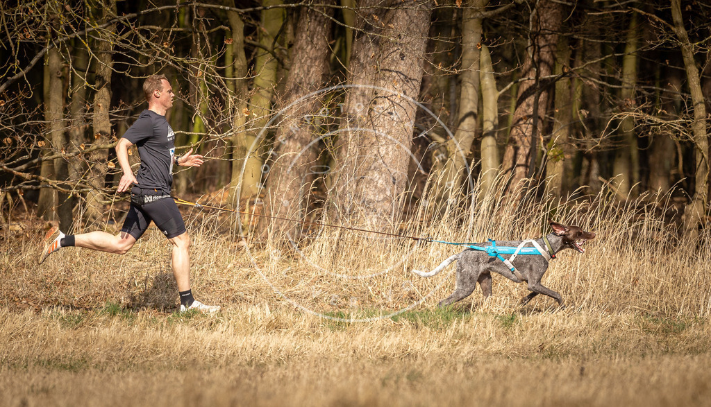 DV3A4950 | Hundefotografie, Tierfotograf, Pfotenfotografie, Fotoshooting Hund, Hunde Portrait, Hundesport, Hundeportraits, Heideshooting, Hunde, Sportfotograf, Hundefotograf, Turnierhundsport, THS,  - Realisiert mit Pictrs.com