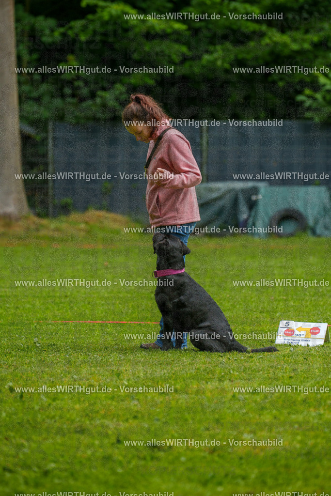 @allesWIRTHgut_Tierfotografie - www.allesWIRTHgut.de - 7R503108 | Professionelle Tierfotografie in Mönchengladbach von Daniel Wirth (allesWIRTHgut). Liebevolle & natürliche Bilder von Hunden & Katzen für unvergessliche Erinnerungen.