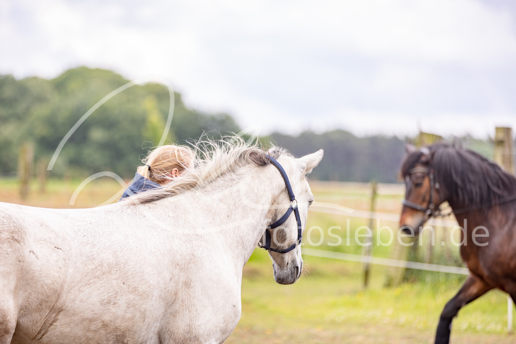 846A0602 | fotosleben - Realisiert mit Pictrs.com