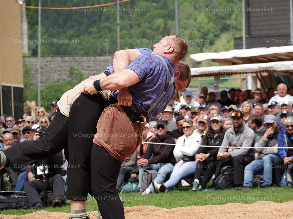 DSC07171 | Schwingen - Realisiert mit Pictrs.com