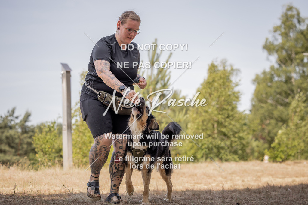 nelerasche_soDD2_265 | nelerasche