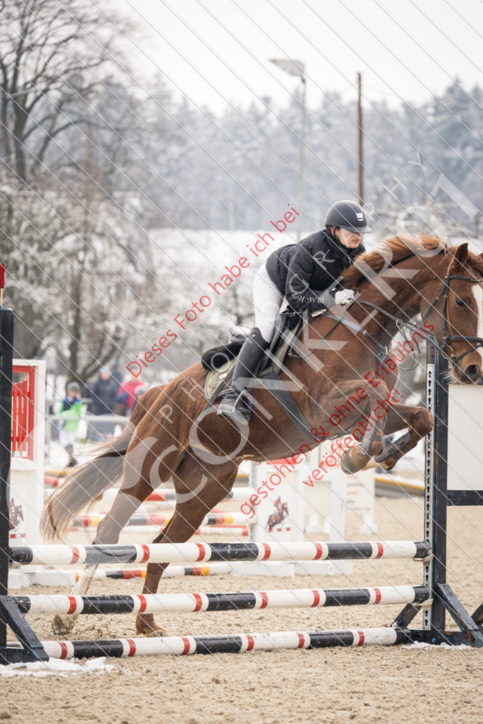 CON_8654 | Sport-, Event- und Tierfotos in Profiqualität. Einfach auswählen, bestellen und herunterladen. Dein Moment – perfekt festgehalten.