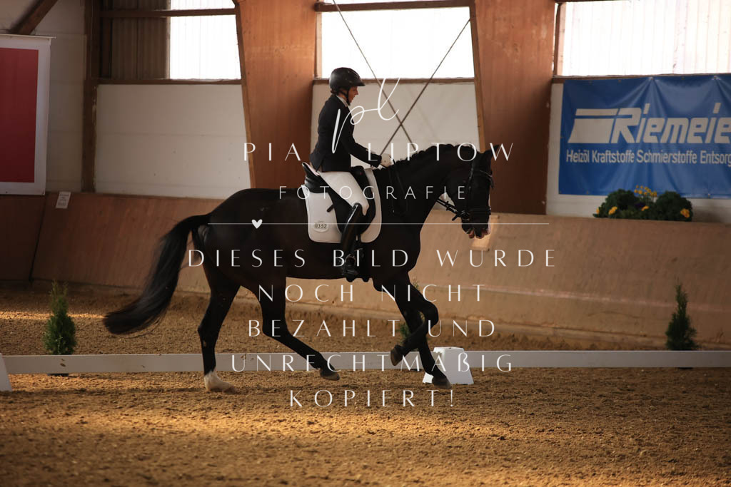 IMGT7924 | pl-fotografie