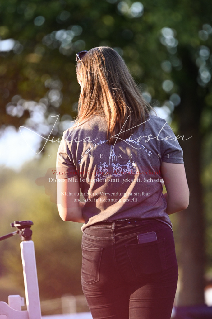 DSC_2004 | Pferde- und Turnierfotografie in Westsachsen. Pferdeportraits, Auftragszeichnungen und intuitive Kunst.