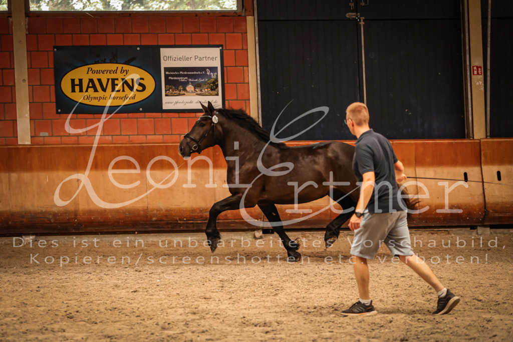 SaFL00385 | Leoni Ertmer Photography - Realisiert mit Pictrs.com