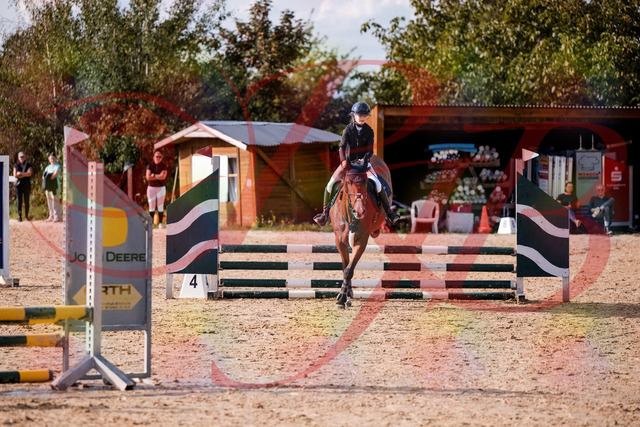 2026_10_03_Siefer-Hof_154649_Z81_65710637 | Professionelle Reitsport-, Turnier- und Eventfotografie von Robert Broda. Galerien mit ausgewählten und bearbeiteten Bildern direkt online ansehen und bestellen.