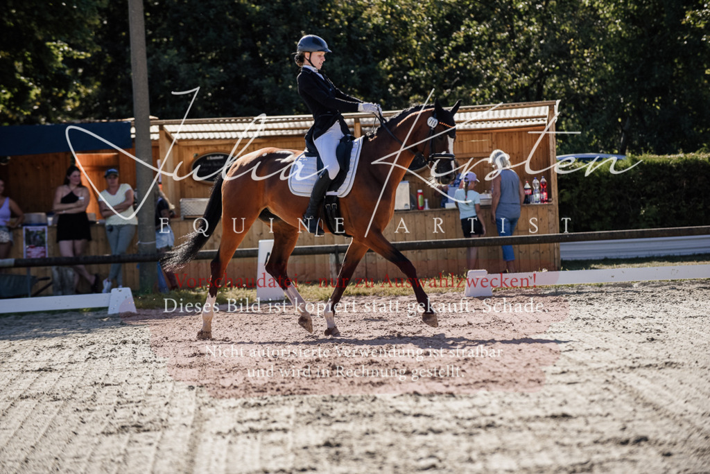 DSC_0333 | Pferde- und Turnierfotografie in Westsachsen. Pferdeportraits, Auftragszeichnungen und intuitive Kunst.