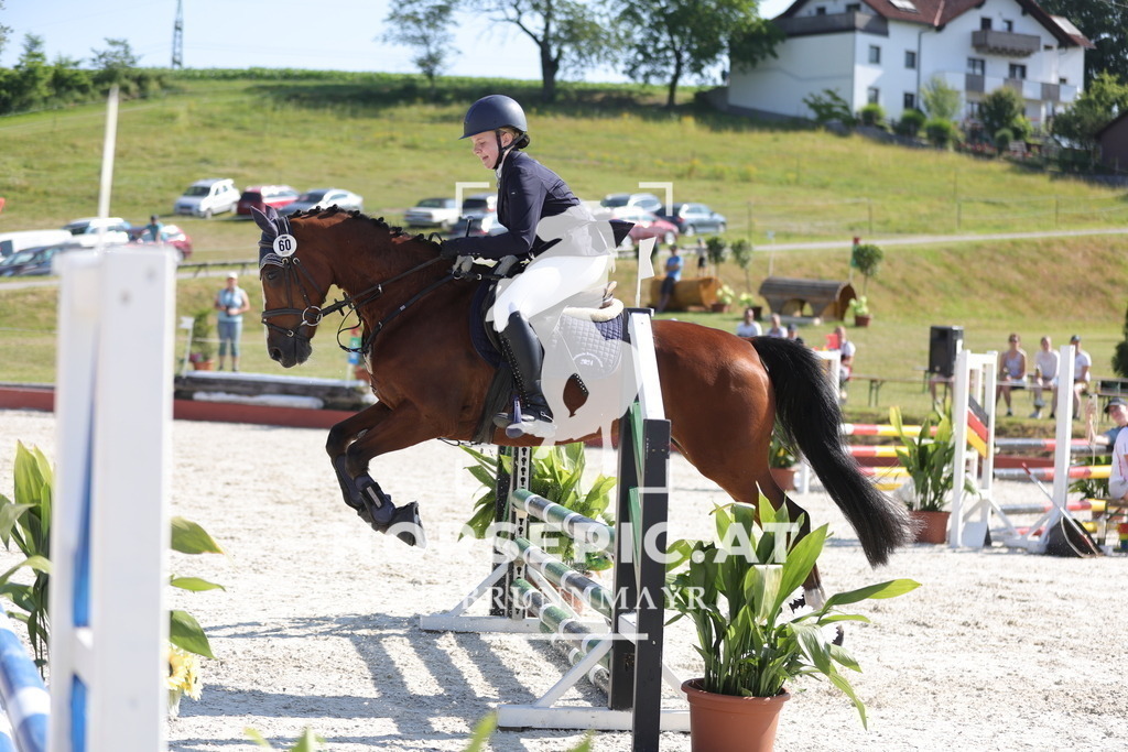 0P6A7553 | Willkommen bei Brunnmayr - Design & Fotografie – Ihrem Spezialisten für Reitturniere und Pferdeveranstaltungen in Oberösterreich, Salzburg und Bayern! Seit über 17 Jahren sind wir leidenschaftlich dabei.