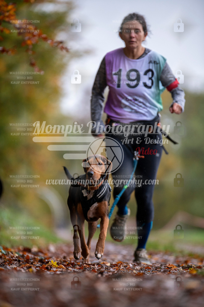 DBT_DAKM_SA_4_11_2023_Canicross-74 | PayLife