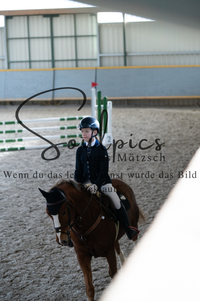 A7V01816 | Pferdefotograf