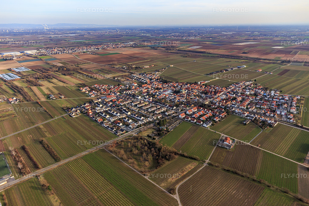 Luftbild: Ortsansicht von Nordwesten in Ellerstadt im Bundesland Rheinland-Pfalz in Deutschland. Foto: IMG_130463.jpg vom 12.02.2022 durch Werner Riehm/FLY-FOTO.de