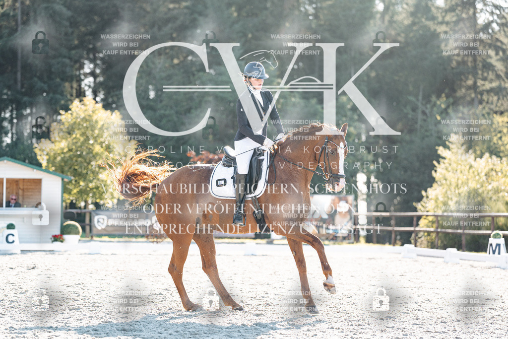 CK906983 | Turnierfotografie Pferdefotografie Trier Rheinland-Pfalz Pferdesport Reitsport Tierfotografie Sportfotografie Pferdevideo Pferdevideografie Equestrianvideography equestrianphotography  - Realisiert mit Pictrs.com