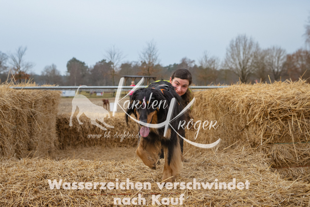 0825_ZZ92893 | kk-dogfotos