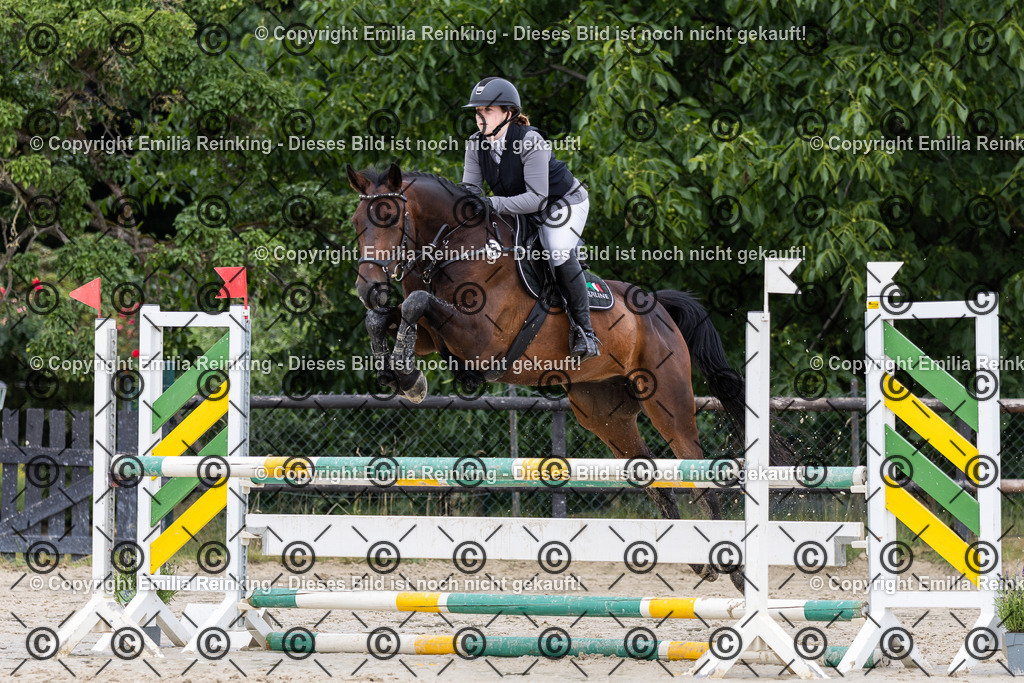 CL5A5060 | Emilia Reinking Fotografie - Realisiert mit Pictrs.com