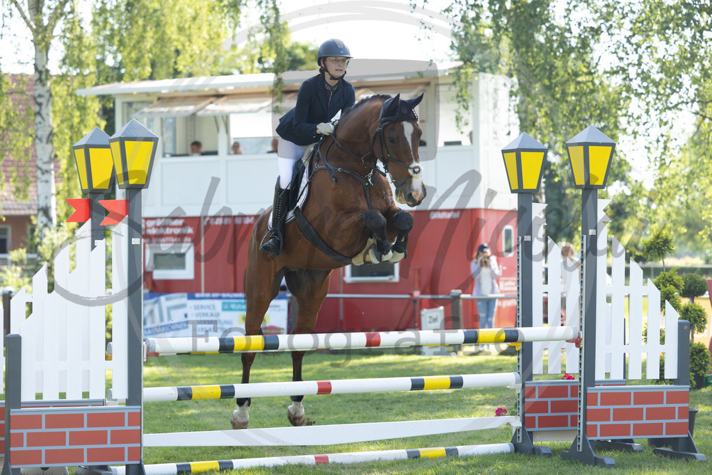 994A3653 | sabrinanicolaifotografie - Realisiert mit Pictrs.com