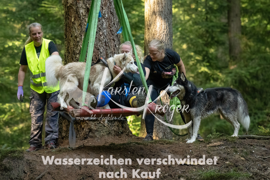 1446_ZZ90767-Bearbeitet-2 | kk-dogfotos