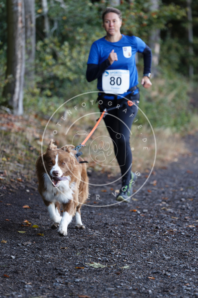 0L8A2069 | Hundefotografie, Tierfotograf, Pfotenfotografie, Fotoshooting Hund, Hunde Portrait, Hundesport, Hundeportraits, Heideshooting, Hunde, Sportfotograf, Hundefotograf, Turnierhundsport, THS,  - Realisiert mit Pictrs.com