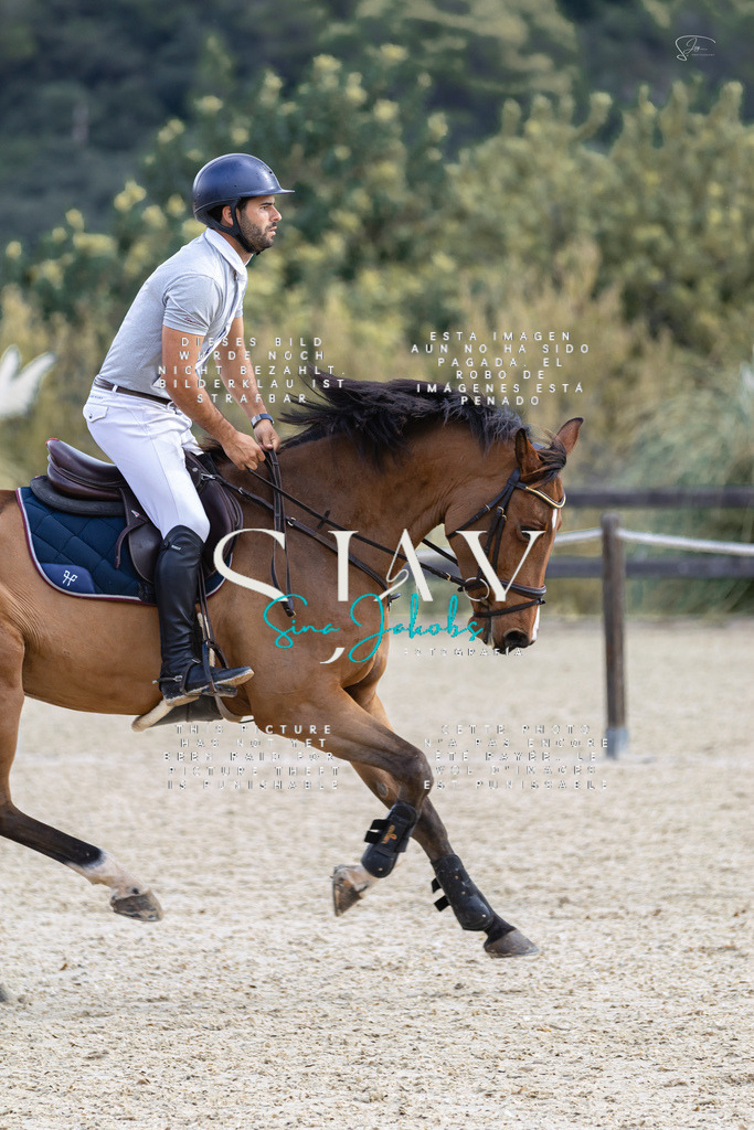 IMG_6132 | s-jay-photography - Realisiert mit Pictrs.com