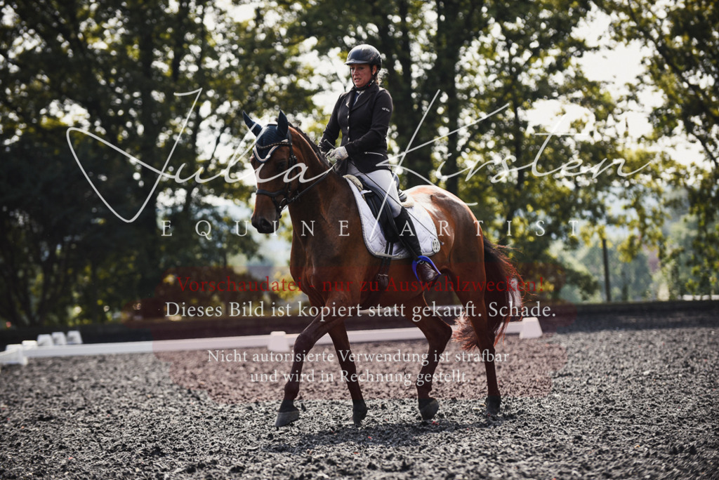 DSC_3670 | Pferde- und Turnierfotografie in Westsachsen. Pferdeportraits, Auftragszeichnungen und intuitive Kunst.