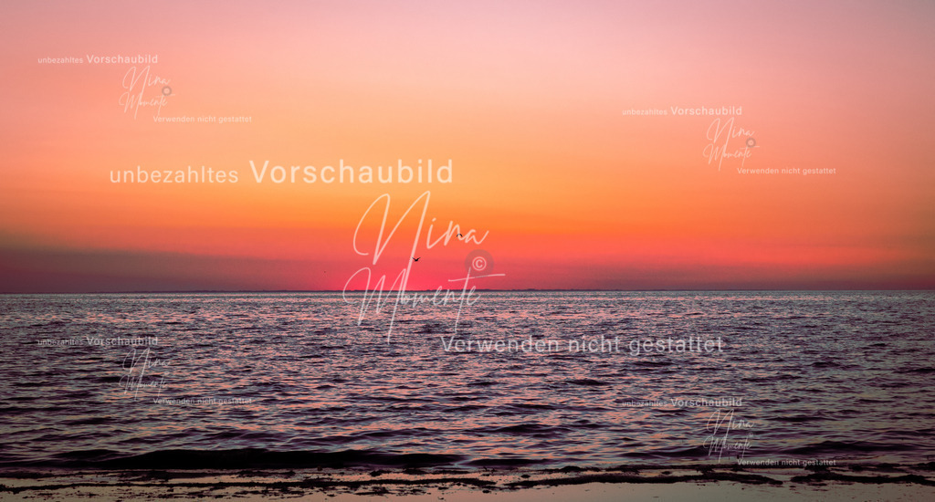 _16A6218-1 | Einzigartige Fotos von Hunden & Menschen –Actionfotos, Portraits, Vereinsaufnahmen & Paarshootings – authentisch, lebendig & mit Herz.